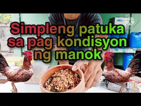 patuka sa manok panabong|21.